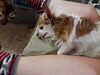 Filename=20211225_157.jpg
Filesize=500KiB
Dimensions=2048x1536
Date added=Sep 18, 2022 20211225_157.jpg