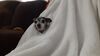 Filename=20220101_001.jpg
Filesize=174KiB
Dimensions=2048x1152
Date added=Sep 18, 2022 20220101_001.jpg