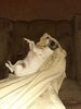 Filename=20220129_001.jpg
Filesize=495KiB
Dimensions=1536x2048
Date added=Sep 20, 2022 20220129_001.jpg