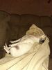 Filename=20220129_003.jpg
Filesize=448KiB
Dimensions=1536x2048
Date added=Sep 20, 2022 20220129_003.jpg