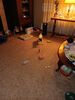 Filename=20220305_001.jpg
Filesize=849KiB
Dimensions=1536x2048
Date added=Aug 29, 2023 20220305_001.jpg