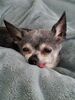 Filename=20220312_001.jpg
Filesize=567KiB
Dimensions=1536x2048
Date added=Aug 29, 2023 20220312_001.jpg