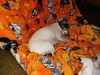 Filename=20220313_002.jpg
Filesize=603KiB
Dimensions=2048x1536
Date added=Sep 20, 2022 20220313_002.jpg