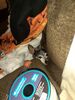 Filename=20220314_001.jpg
Filesize=582KiB
Dimensions=1536x2048
Date added=Sep 20, 2022 20220314_001.jpg