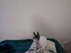 Filename=20220320_001.jpg
Filesize=299KiB
Dimensions=2048x1536
Date added=Sep 20, 2022 20220320_001.jpg