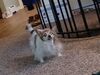 Filename=20220322_001.jpg
Filesize=389KiB
Dimensions=2048x1536
Date added=Sep 20, 2022 20220322_001.jpg