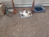 Filename=20220425_002.jpg
Filesize=776KiB
Dimensions=2048x1536
Date added=Sep 20, 2022 20220425_002.jpg