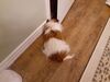 Filename=20220501_002.jpg
Filesize=463KiB
Dimensions=2048x1536
Date added=Sep 24, 2022 20220501_002.jpg
