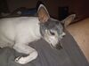 Filename=20220508_017.jpg
Filesize=442KiB
Dimensions=2048x1536
Date added=Aug 29, 2023 20220508_017.jpg