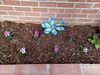 Filename=20220514_006.jpg
Filesize=690KiB
Dimensions=2048x1536
Date added=Sep 24, 2022 20220514_006.jpg