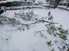 Filename=20220521_006.jpg
Filesize=564KiB
Dimensions=2048x1536
Date added=Sep 24, 2022 20220521_006.jpg