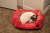 Filename=20220521_009.jpg
Filesize=457KiB
Dimensions=2048x1365
Date added=Sep 24, 2022 20220521_009.jpg