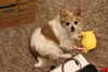 Filename=20220521_010.jpg
Filesize=541KiB
Dimensions=2048x1365
Date added=Sep 24, 2022 20220521_010.jpg