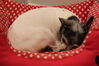 Filename=20220521_012.jpg
Filesize=350KiB
Dimensions=2048x1365
Date added=Sep 24, 2022 20220521_012.jpg