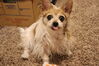 Filename=20220521_013.jpg
Filesize=402KiB
Dimensions=2048x1365
Date added=Sep 24, 2022 20220521_013.jpg