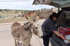 Filename=20220528_001.jpg
Filesize=502KiB
Dimensions=2048x1365
Date added=Sep 24, 2022 20220528_001.jpg