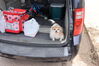 Filename=20220528_002.jpg
Filesize=529KiB
Dimensions=2048x1365
Date added=Sep 24, 2022 20220528_002.jpg