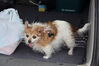 Filename=20220528_003.jpg
Filesize=328KiB
Dimensions=2048x1365
Date added=Sep 24, 2022 20220528_003.jpg