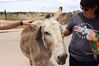 Filename=20220528_004.jpg
Filesize=496KiB
Dimensions=2048x1365
Date added=Sep 24, 2022 20220528_004.jpg