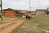 Filename=20220528_009.jpg
Filesize=597KiB
Dimensions=2048x1365
Date added=Sep 24, 2022 20220528_009.jpg