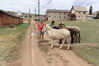 Filename=20220528_011.jpg
Filesize=710KiB
Dimensions=2048x1365
Date added=Sep 24, 2022 20220528_011.jpg