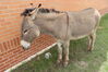 Filename=20220528_014.jpg
Filesize=721KiB
Dimensions=2048x1365
Date added=Sep 24, 2022 20220528_014.jpg