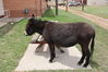 Filename=20220528_015.jpg
Filesize=729KiB
Dimensions=2048x1365
Date added=Sep 24, 2022 20220528_015.jpg