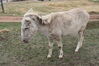 Filename=20220528_022.jpg
Filesize=743KiB
Dimensions=2048x1365
Date added=Sep 24, 2022 20220528_022.jpg