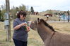 Filename=20220528_029.jpg
Filesize=417KiB
Dimensions=2048x1365
Date added=Sep 24, 2022 20220528_029.jpg