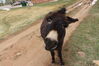 Filename=20220528_031.jpg
Filesize=459KiB
Dimensions=2048x1365
Date added=Sep 24, 2022 20220528_031.jpg