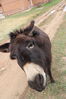Filename=20220528_032.jpg
Filesize=359KiB
Dimensions=1365x2048
Date added=Sep 24, 2022 20220528_032.jpg