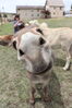 Filename=20220528_042.jpg
Filesize=312KiB
Dimensions=1365x2048
Date added=Sep 24, 2022 20220528_042.jpg