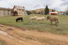 Filename=20220528_045.jpg
Filesize=690KiB
Dimensions=2048x1365
Date added=Sep 24, 2022 20220528_045.jpg