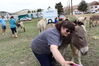 Filename=20220528_053.jpg
Filesize=586KiB
Dimensions=2048x1365
Date added=Sep 24, 2022 20220528_053.jpg