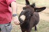 Filename=20220528_057.jpg
Filesize=381KiB
Dimensions=2048x1365
Date added=Sep 24, 2022 20220528_057.jpg