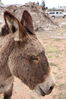 Filename=20220528_059.jpg
Filesize=404KiB
Dimensions=1365x2048
Date added=Sep 24, 2022 20220528_059.jpg