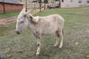 Filename=20220528_063.jpg
Filesize=810KiB
Dimensions=2048x1365
Date added=Sep 24, 2022 20220528_063.jpg