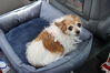 Filename=20220528_064.jpg
Filesize=471KiB
Dimensions=2048x1365
Date added=Sep 24, 2022 20220528_064.jpg