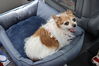 Filename=20220528_065.jpg
Filesize=504KiB
Dimensions=2048x1365
Date added=Sep 24, 2022 20220528_065.jpg