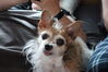 Filename=20220605_003.jpg
Filesize=354KiB
Dimensions=2048x1365
Date added=Nov 06, 2022 20220605_003.jpg