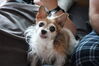 Filename=20220605_004.jpg
Filesize=378KiB
Dimensions=2048x1365
Date added=Nov 06, 2022 20220605_004.jpg
