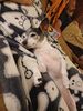 Filename=20220607_003.jpg
Filesize=424KiB
Dimensions=1536x2048
Date added=Nov 06, 2022 20220607_003.jpg