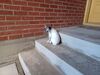 Filename=20220619_018.jpg
Filesize=580KiB
Dimensions=2048x1536
Date added=Nov 06, 2022 20220619_018.jpg