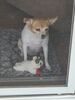 Filename=20220629_001.jpg
Filesize=904KiB
Dimensions=1536x2048
Date added=Aug 29, 2023 20220629_001.jpg