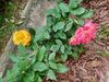 Filename=20220705_002.jpg
Filesize=835KiB
Dimensions=2048x1536
Date added=Aug 29, 2023 20220705_002.jpg