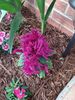 Filename=20220707_009.jpg
Filesize=536KiB
Dimensions=1536x2048
Date added=Aug 29, 2023 20220707_009.jpg
