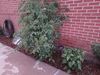 Filename=20220707_015.jpg
Filesize=607KiB
Dimensions=2048x1536
Date added=Aug 29, 2023 20220707_015.jpg