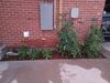 Filename=20220707_016.jpg
Filesize=581KiB
Dimensions=2048x1536
Date added=Aug 29, 2023 20220707_016.jpg