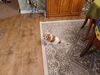 Filename=20220711_005.jpg
Filesize=592KiB
Dimensions=2048x1536
Date added=Aug 29, 2023 20220711_005.jpg