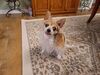 Filename=20220711_006.jpg
Filesize=408KiB
Dimensions=2048x1536
Date added=Aug 29, 2023 20220711_006.jpg